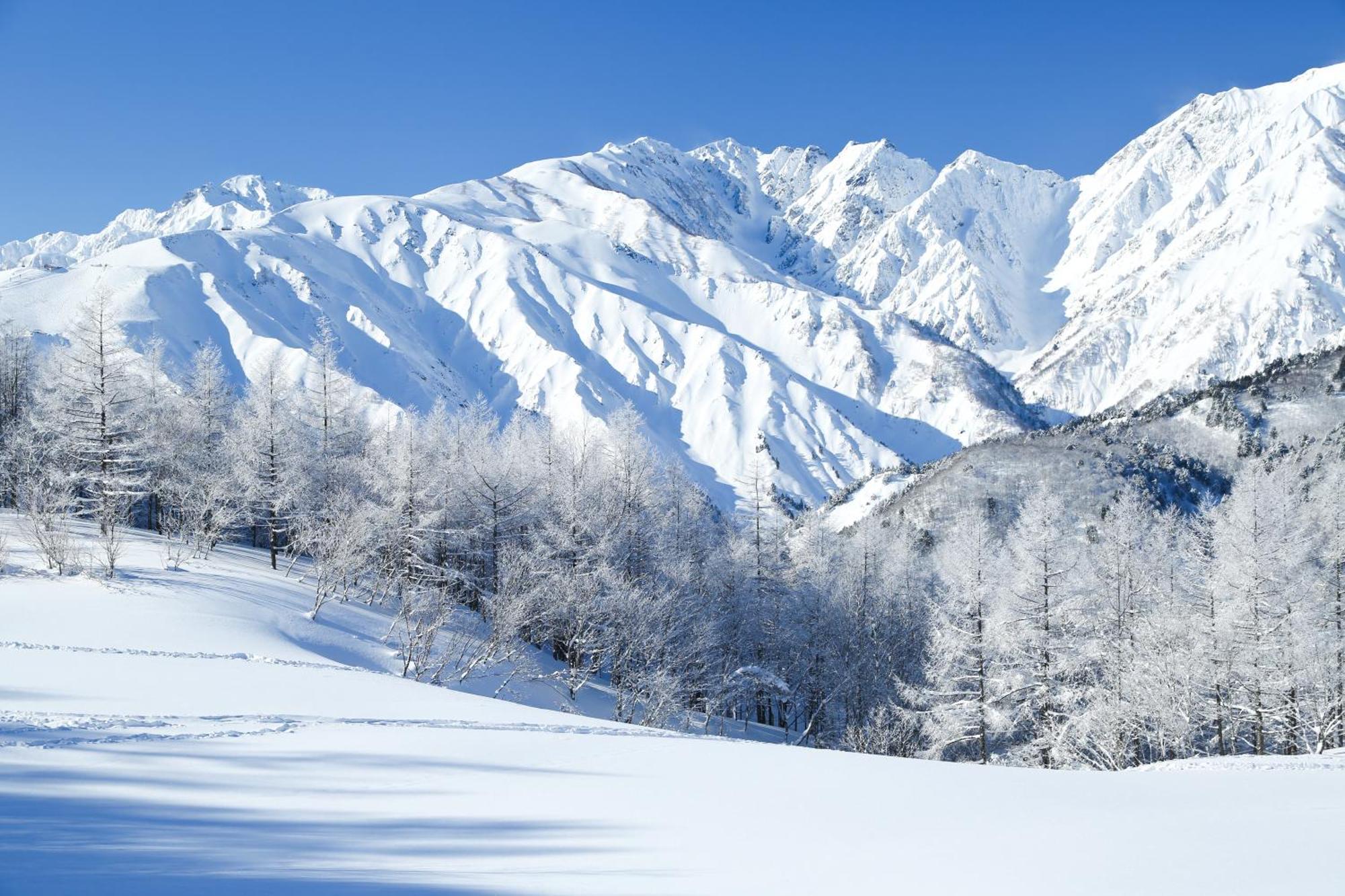 Hakuba Hatago Maruhachi Exteriör bild