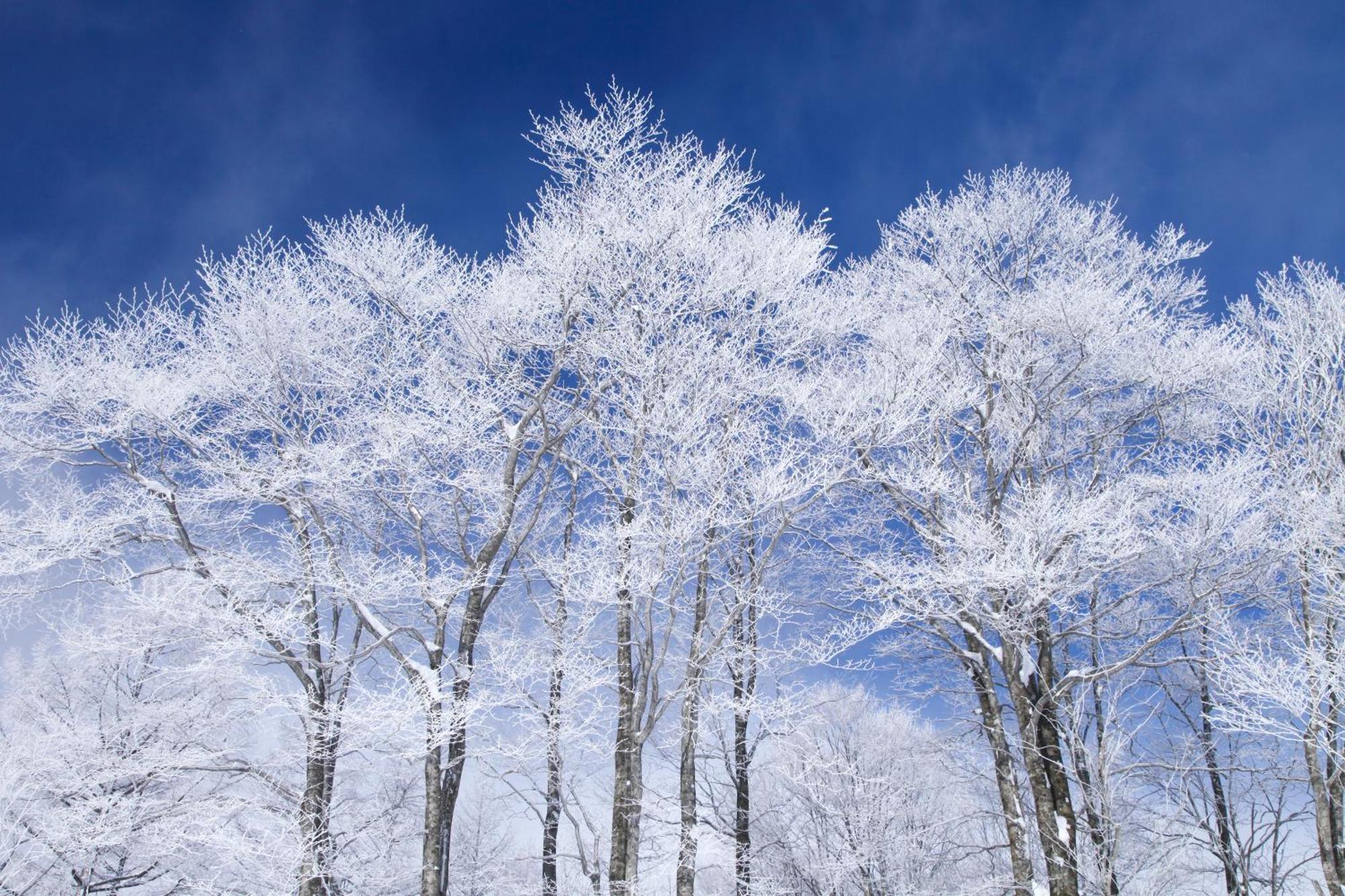 Hakuba Hatago Maruhachi Exteriör bild